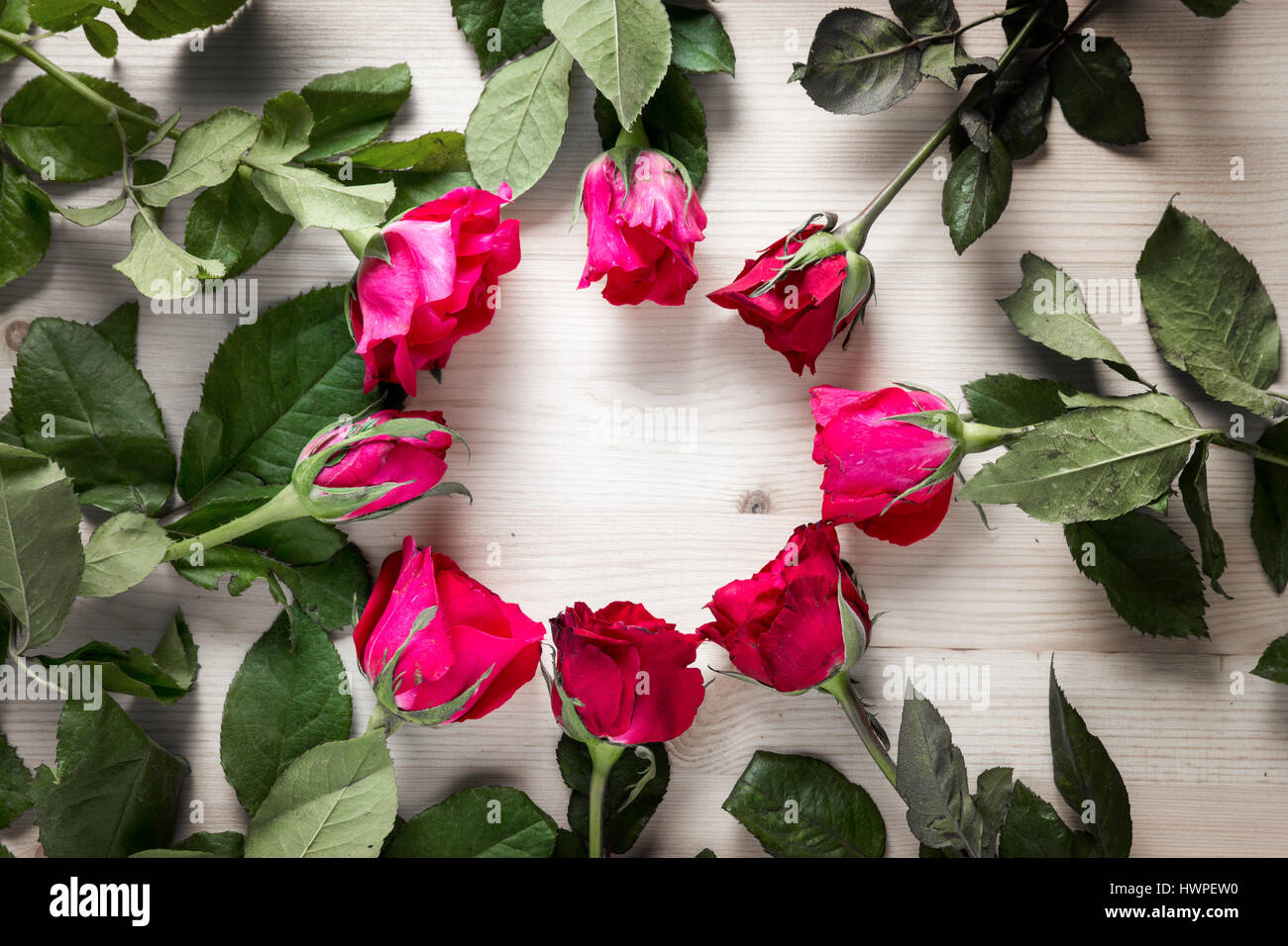 Rose rouge et rose fleur sur table en bois pour don de faire rapport dans valentine day festival Banque D'Images