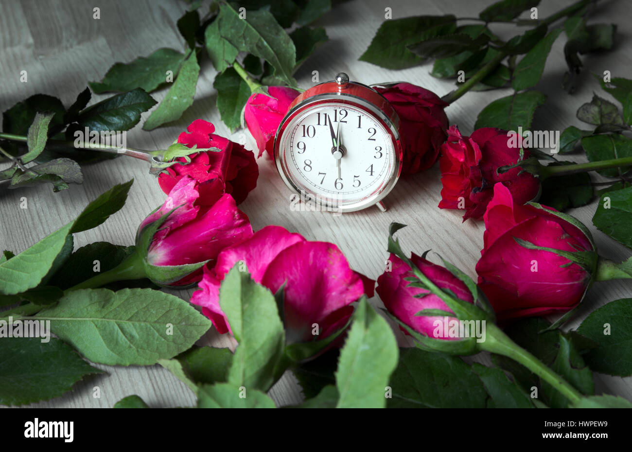 Rose rouge et rose fleur sur table en bois autour de réveil dans le temps concept Banque D'Images