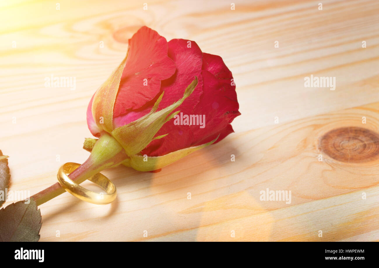 Close up rose fleur avec anneau pour se marier avec l'amour à la Saint-Valentin sur fond de bois Banque D'Images