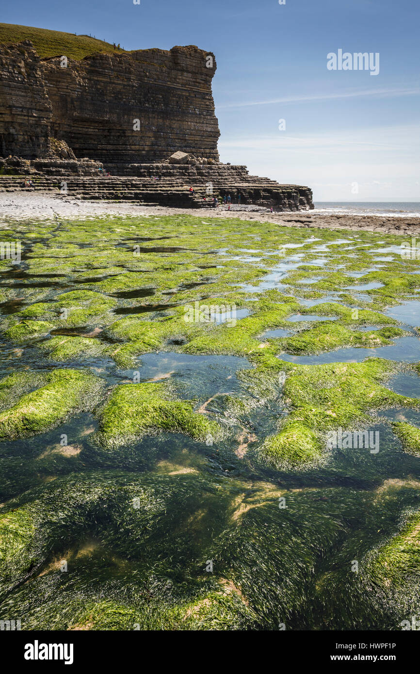 Mcg Nash beach, Marcross sur la côte du Glamorgan South Wales Banque D'Images