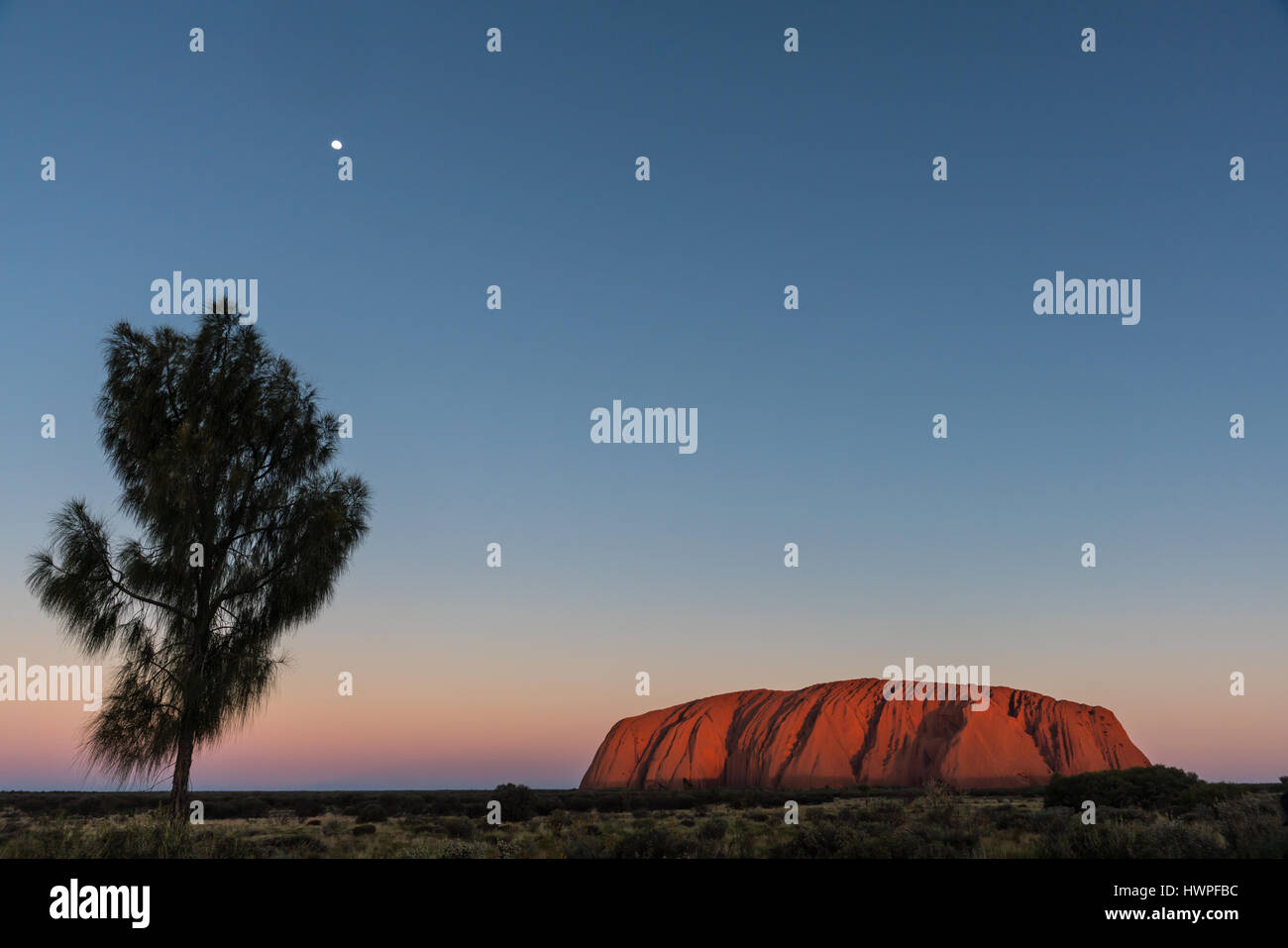 Coucher du soleil sur Uluru / Ayers Rock emblématique, le plus grand monolithe, dans le Territoire du Nord, Australie Banque D'Images