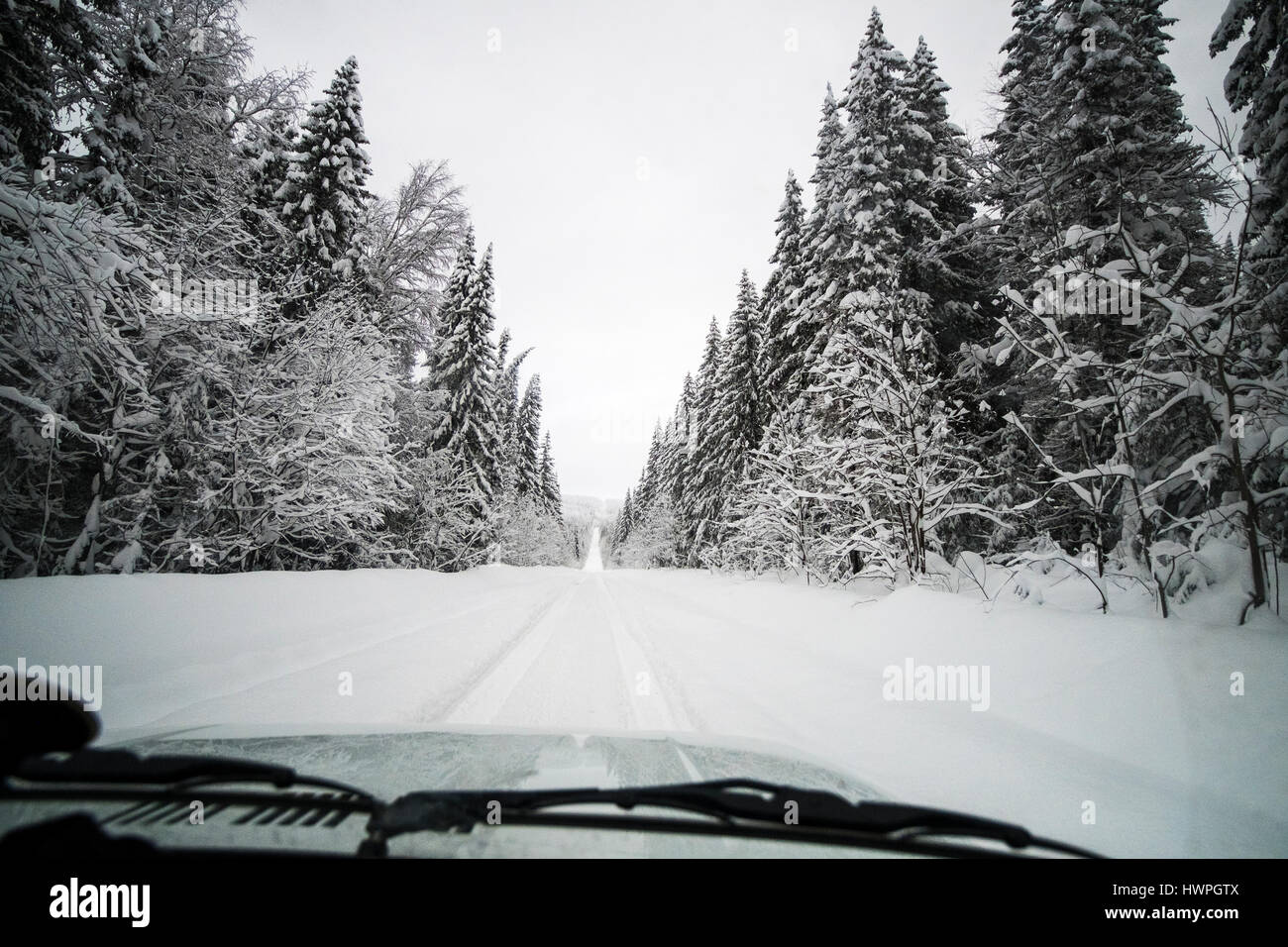 Les arbres couverts de neige au milieu de la route vu à travers le pare-brise de voiture Banque D'Images