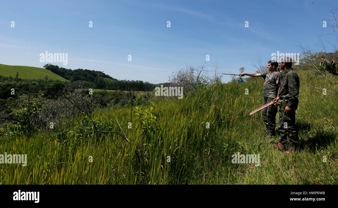 Recherches des gardes forestiers la forêt tropicale à la recherche de singes infectés Banque D'Images