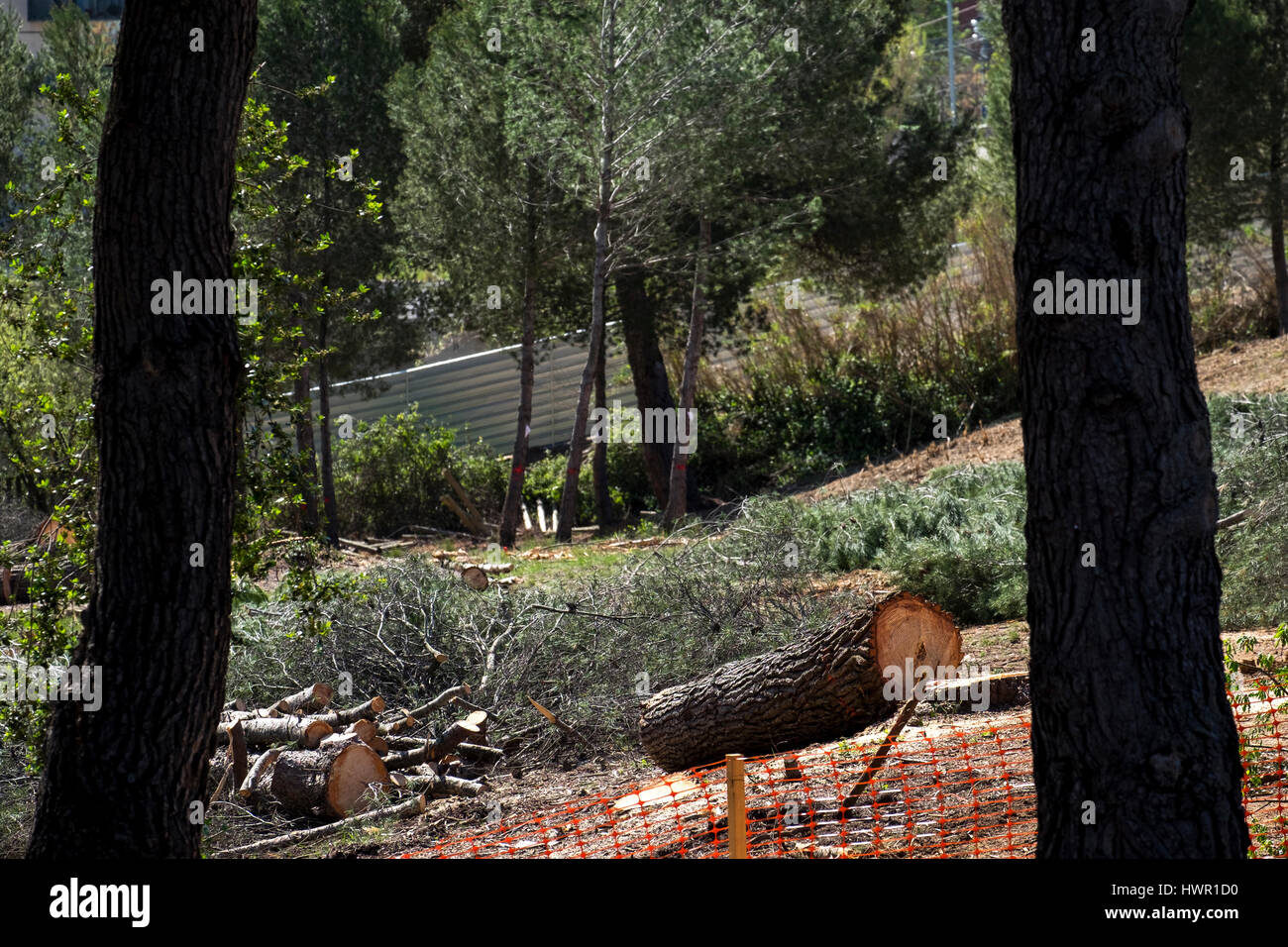 Sant Cugat del Valles, Barcelone, Espagne - 3 Avril 2017 : La forêt est exploitée pour construire sur des espaces verts. Banque D'Images