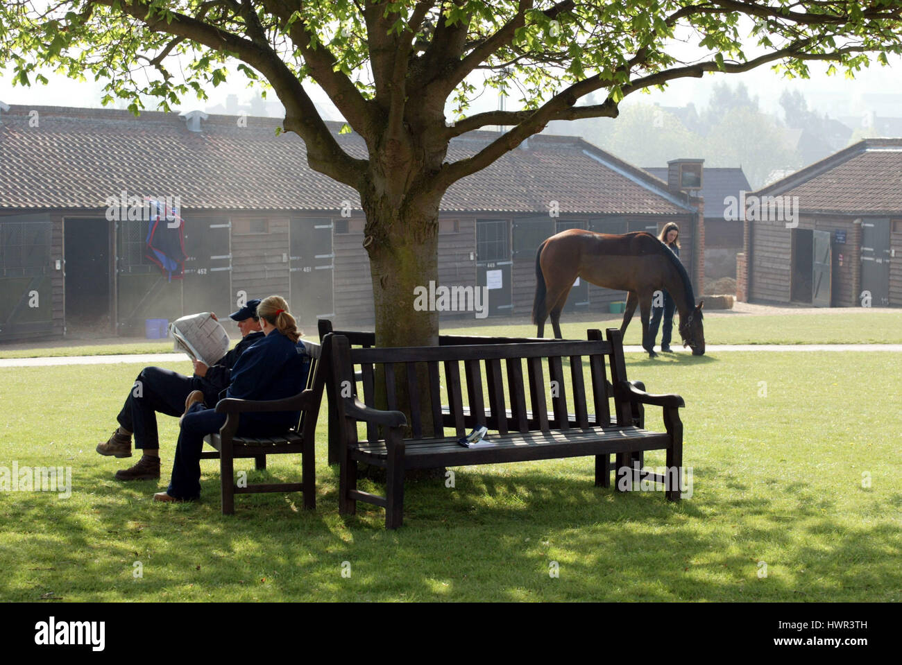 Les ventes de chevaux de course TATTERSALLS NEWMARKET NEWMARKET ANGLETERRE 16 Avril 2003 Banque D'Images