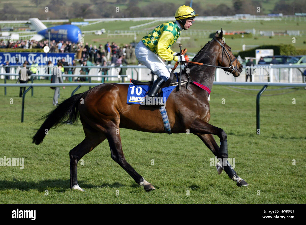 Le CAPITAINE CORELLI monté par T.J.Murphy L'hippodrome de Cheltenham CHELTENHAM 17 Mars 2005 Banque D'Images