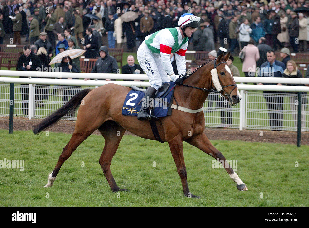 Esprit courageux monté par J.TIZZARD L'hippodrome de Cheltenham CHELTENHAM 16 Mars 2005 Banque D'Images