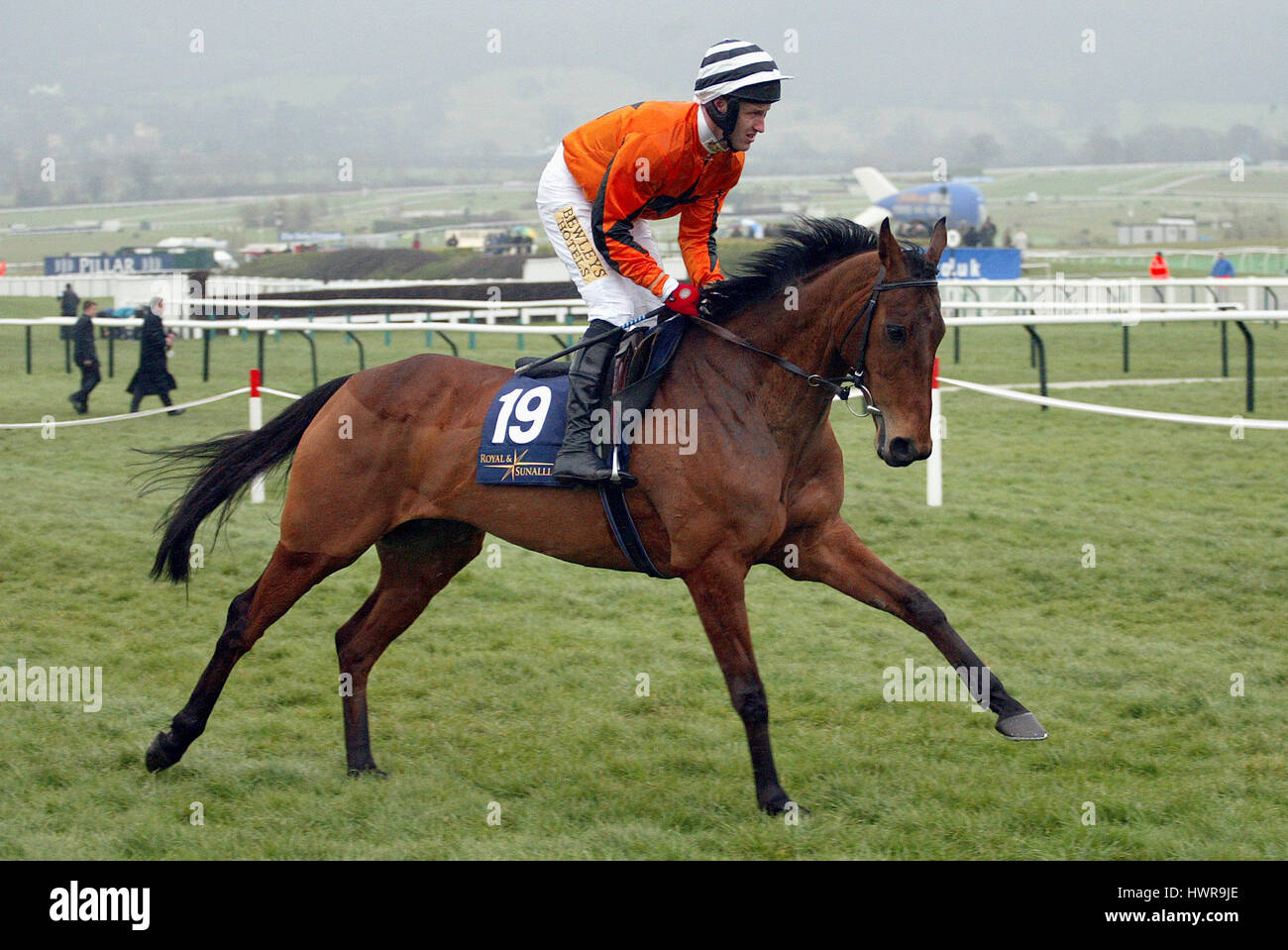 Chef de la Cour d'alimentation monté par R.M.L'hippodrome de Cheltenham CHELTENHAM 16 Mars 2005 Banque D'Images