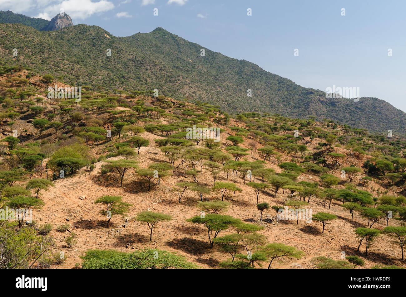 Au Kenya, des paysages de montagne dans un environnement de l'Horr Sud Village de Samburu les gens sur la façon de le lac Turkana Banque D'Images