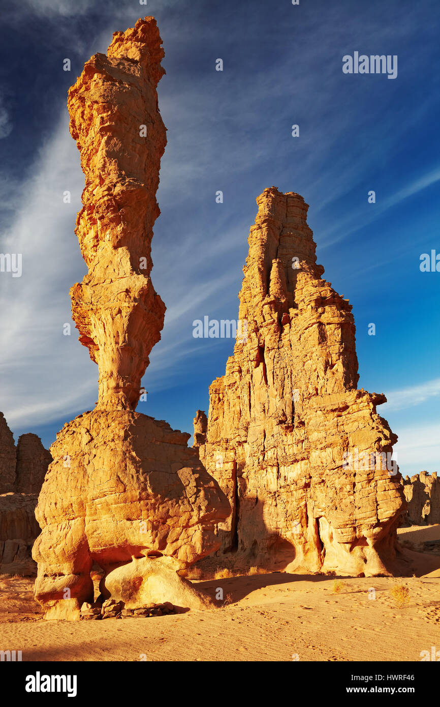 Forêt de pierre, des falaises de grès incroyable en désert du Sahara, Tassili N'Ajjer, Algérie Banque D'Images