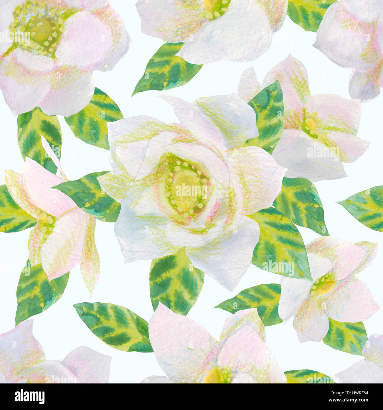 Tendance printemps avec fleurs et plantes. Aquarelle illustration floral motif transparent.. Banque D'Images