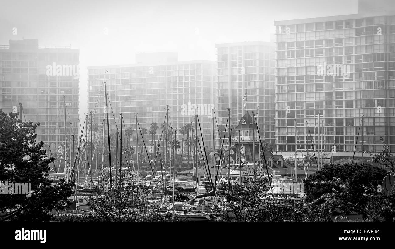 Mâts dans le brouillard à un port de plaisance du sud. Banque D'Images