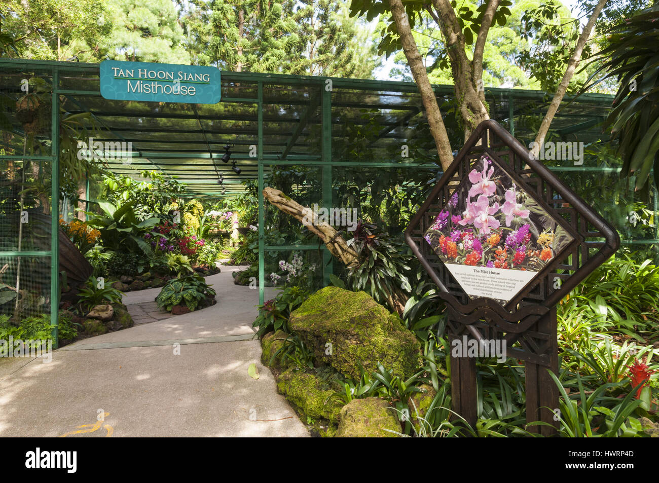 Singapour, jardins botaniques, jardin des orchidées Banque D'Images