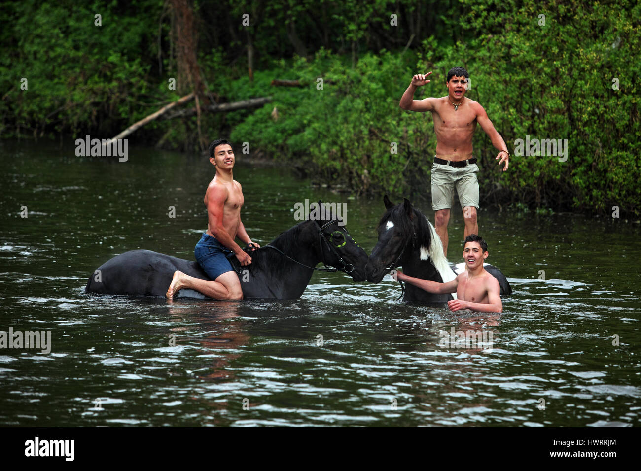 Trois jeunes hommes se baigner les chevaux dans la rivière Banque D'Images