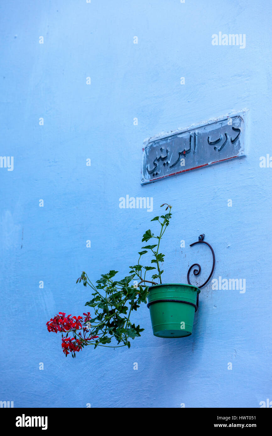 Chefchaouen, Maroc. Nom du propriétaire et pot de fleurs sur le mur d'une maison. Banque D'Images