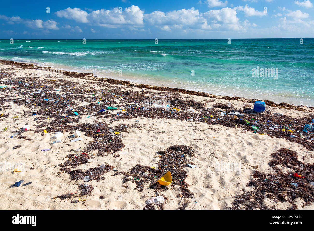 Plage couverte de déchets dans la Réserve de biosphère de Sian Kaan près de Tulum, Mexique Banque D'Images