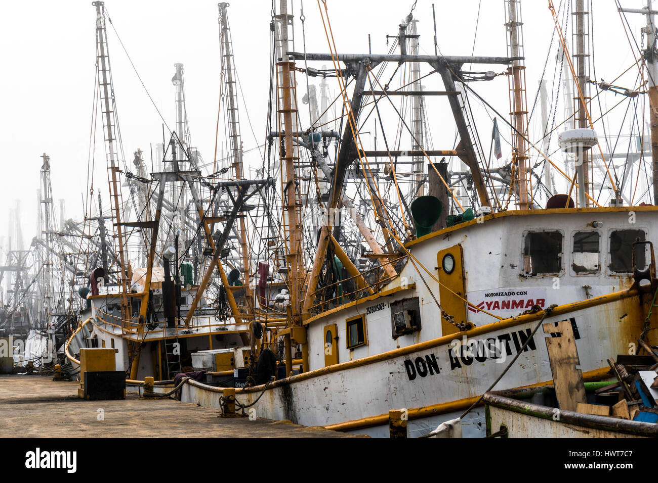 La flotte de pêche de la crevette dans le Pacifique ville de Mazatlán dans l'État de Sinaloa Mexique Banque D'Images