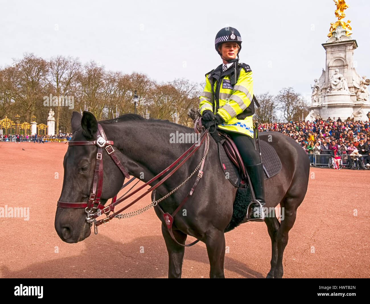 La police de Londres à cheval au palais de Buckingham Banque D'Images