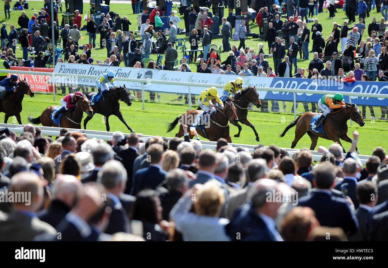 Chevaux SUR KNAVESMIRE HIPPODROME DE YORK YORK HIPPODROME HIPPODROME DE YORK YORK ANGLETERRE 17 Mai 2013 Banque D'Images