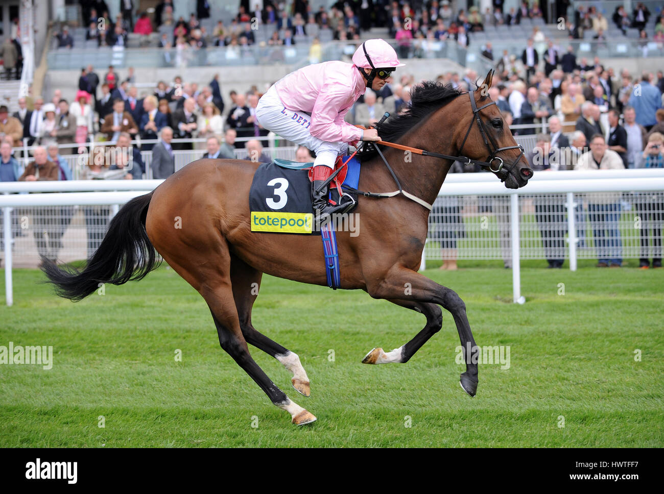 DAR RE MI MONTÉE PAR L. DETTORI l''HIPPODROME DE YORK YORK ANGLETERRE 14 Mai 2009 Banque D'Images DAR RE MI MONTÉE PAR L. DETTORI l''HIPPODROME DE YORK YORK ANGLETERRE 14 Mai 2009 Banque D'Images