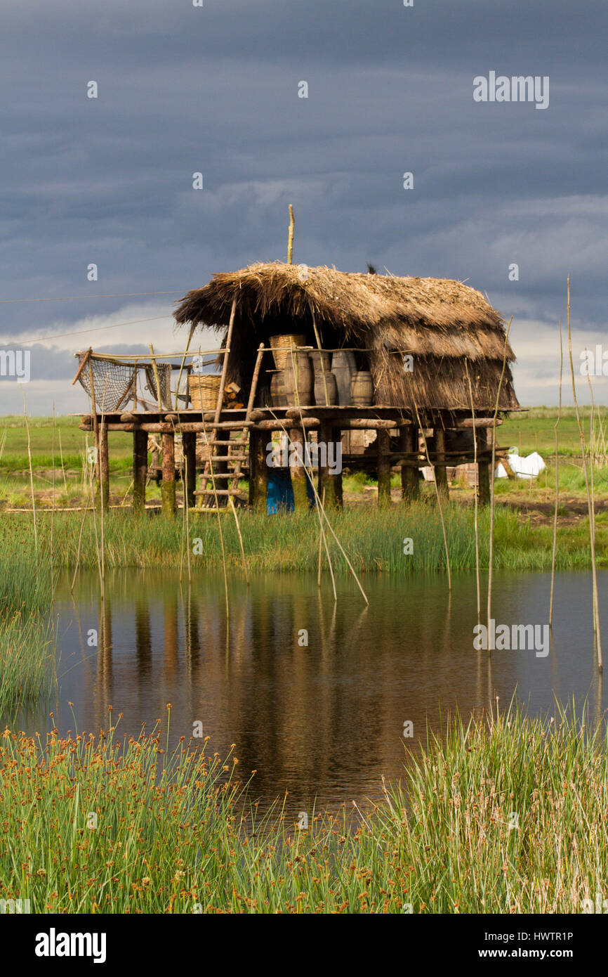 Le programme ,'Les Vikings', série TV sur la vie d'un village Viking, construit dans une zone humide -Kilcoole ,marais protégés qu'un SPA-Site d'une protection spéciale . par le gouvernement irlandais, pour sa conservation/ biologique vlue , particulièrement forr sterne naine (Sterna albifrons) échassiers d'alimentation et de nidification.menacées par un développement mal de tournage de la série télévisée populaire Banque D'Images