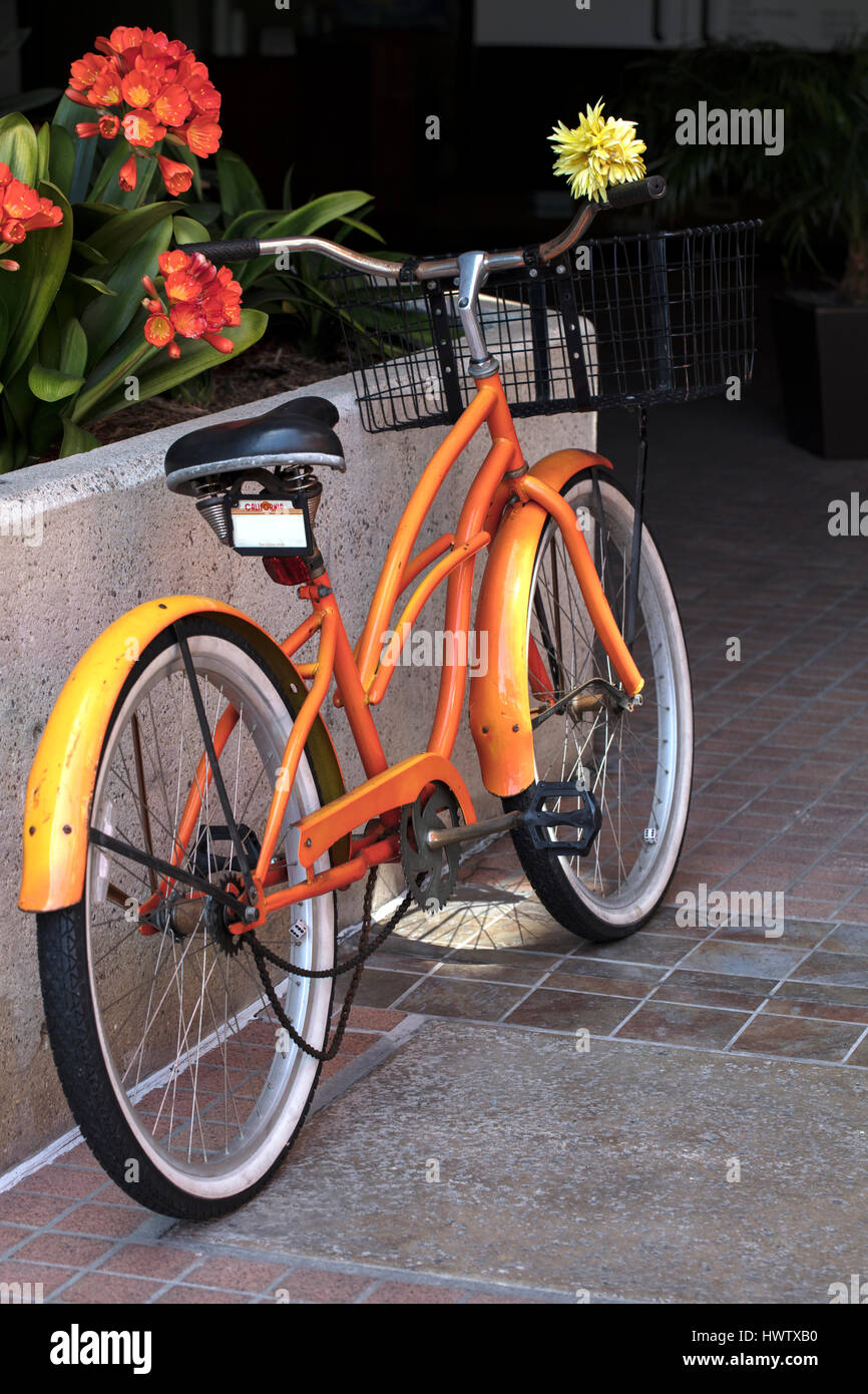 schwinn ruler cruiser