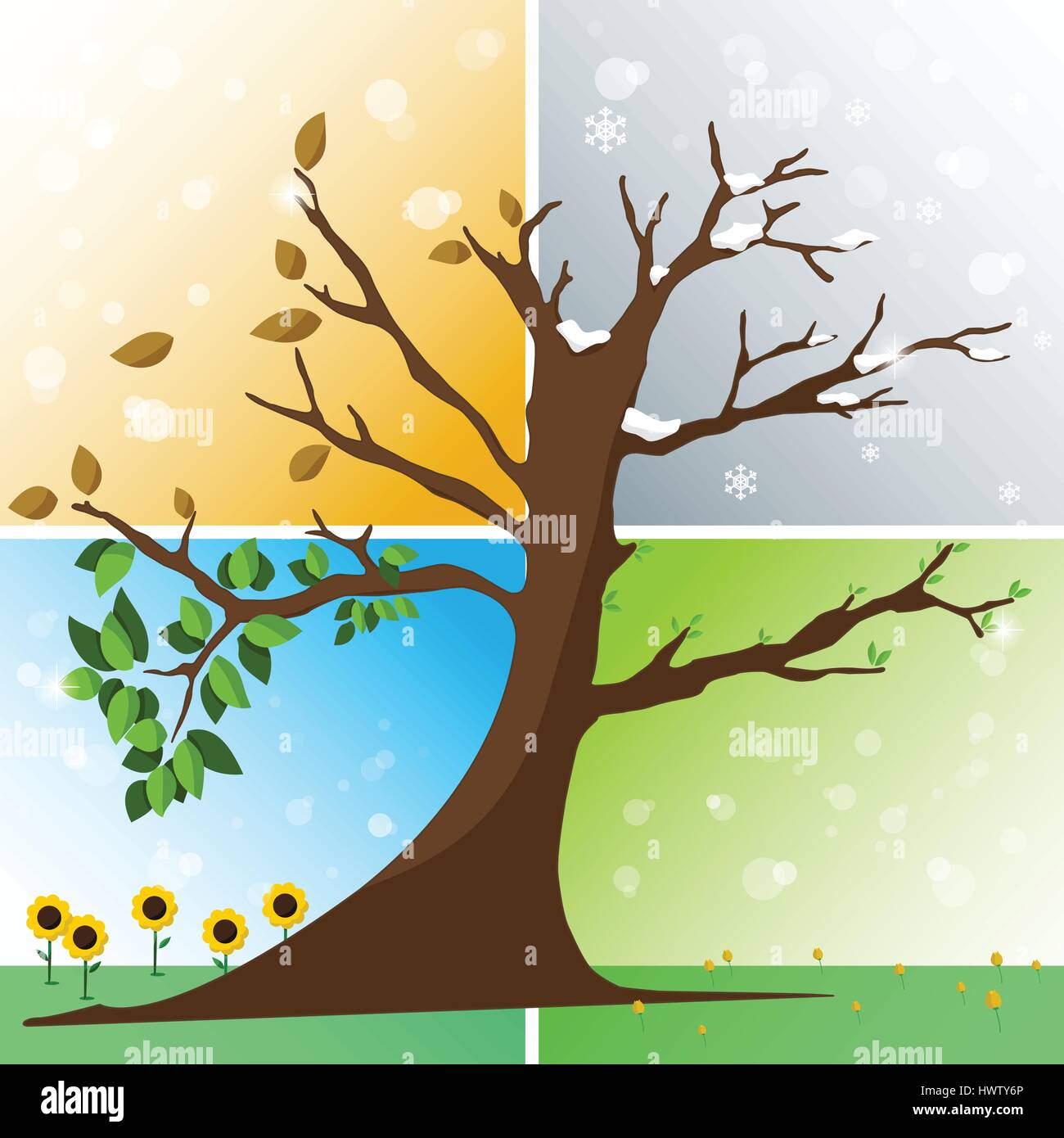 Quatre saisons en un arbre - Printemps, Été, Automne, hiver vector illustration Illustration de Vecteur