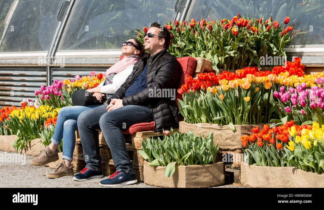 Île de Mainau, Allemagne. 23 mars 2017. Christina et Stefan de Korb en Souabe profitez du soleil et des tulipes en fleurs sur l'île de Mainau, Allemagne, 23 mars 2017. Les 45 hectares île est l'une des plus grandes attractions touristiques du lac de Constance. 1, 26 millions de personnes ont visité l'île de 'fleur' en 2016. Photo : Patrick Seeger/dpa/Alamy Live News Banque D'Images