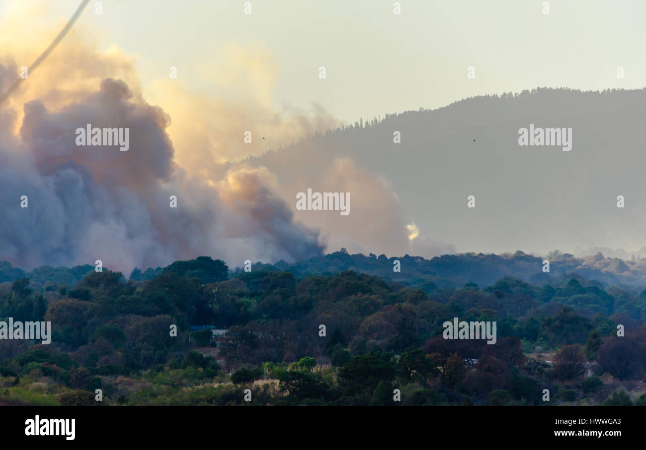 Cuernavaca, Mexique. 22 mars 2017. Feu de forêt est intensifiée par le vent couvre une large région de l'État du Mexique et Morelos. Le colonel del Bosque, Cuernavaca, Morelos, Mexique. Credit : AGCuesta Images/Alamy Live News Banque D'Images