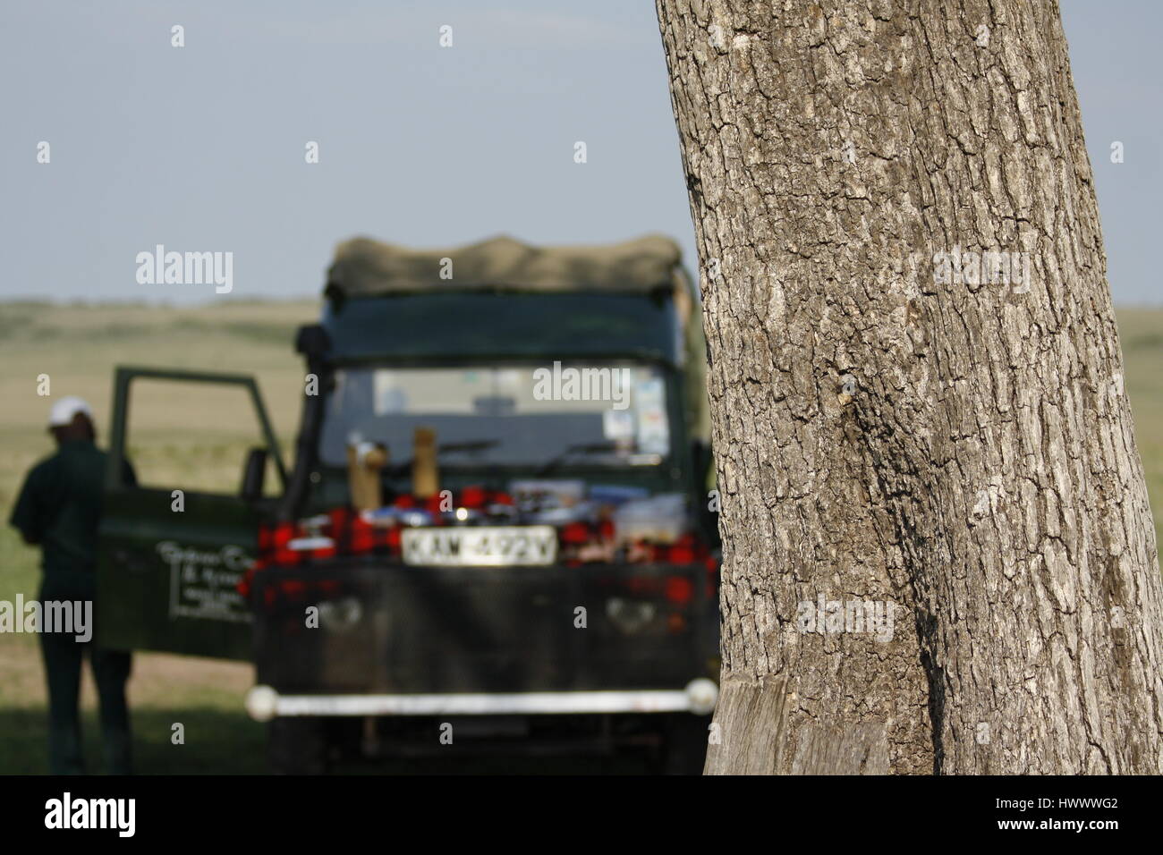 Le petit-déjeuner sur la Land Rover dans le Masai Mara, Kenya Banque D'Images