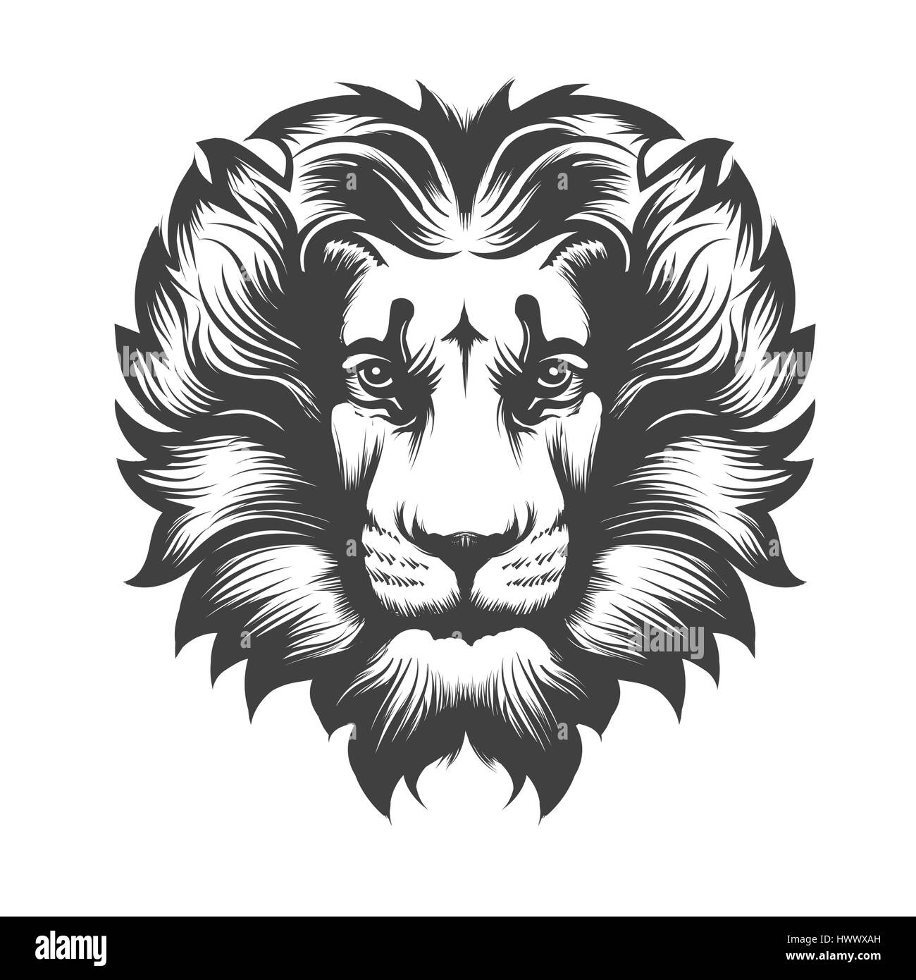 Tête de Lion dessiné dans leur gravure. Bon pour un emblème et T-shirt graphique ou de tatouage. Vector illustration isolé sur blanc. Illustration de Vecteur