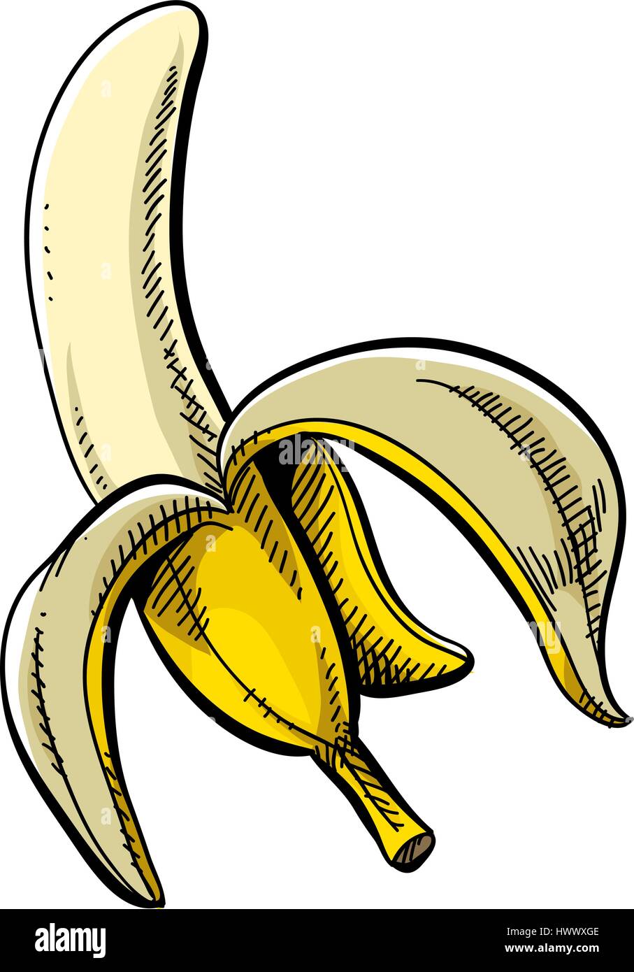 Une caricature d'un jaune, banane pelées. Illustration de Vecteur