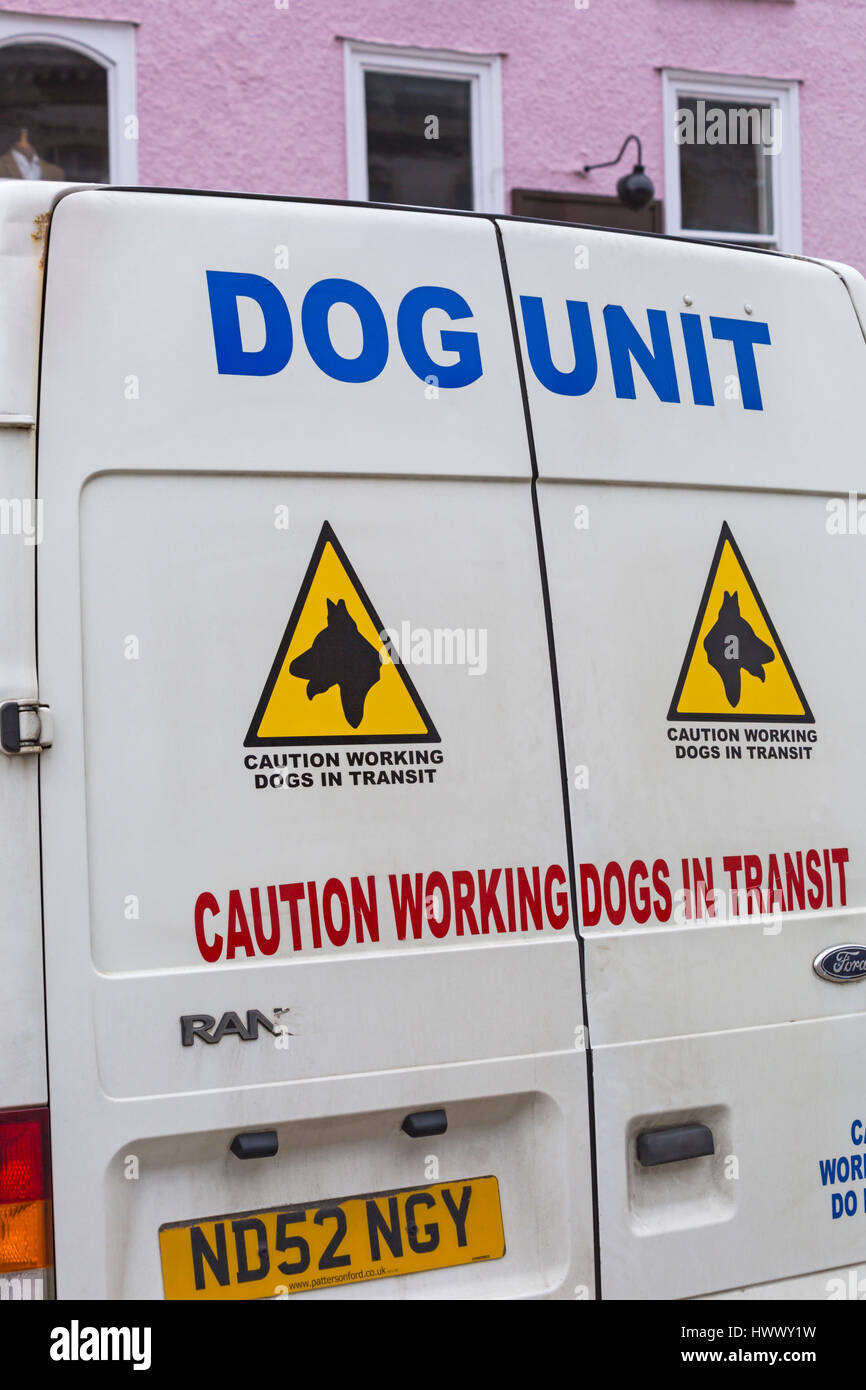 L'unité attention chien chiens de travail en transit sur les panneaux arrière de camionnette blanche Banque D'Images