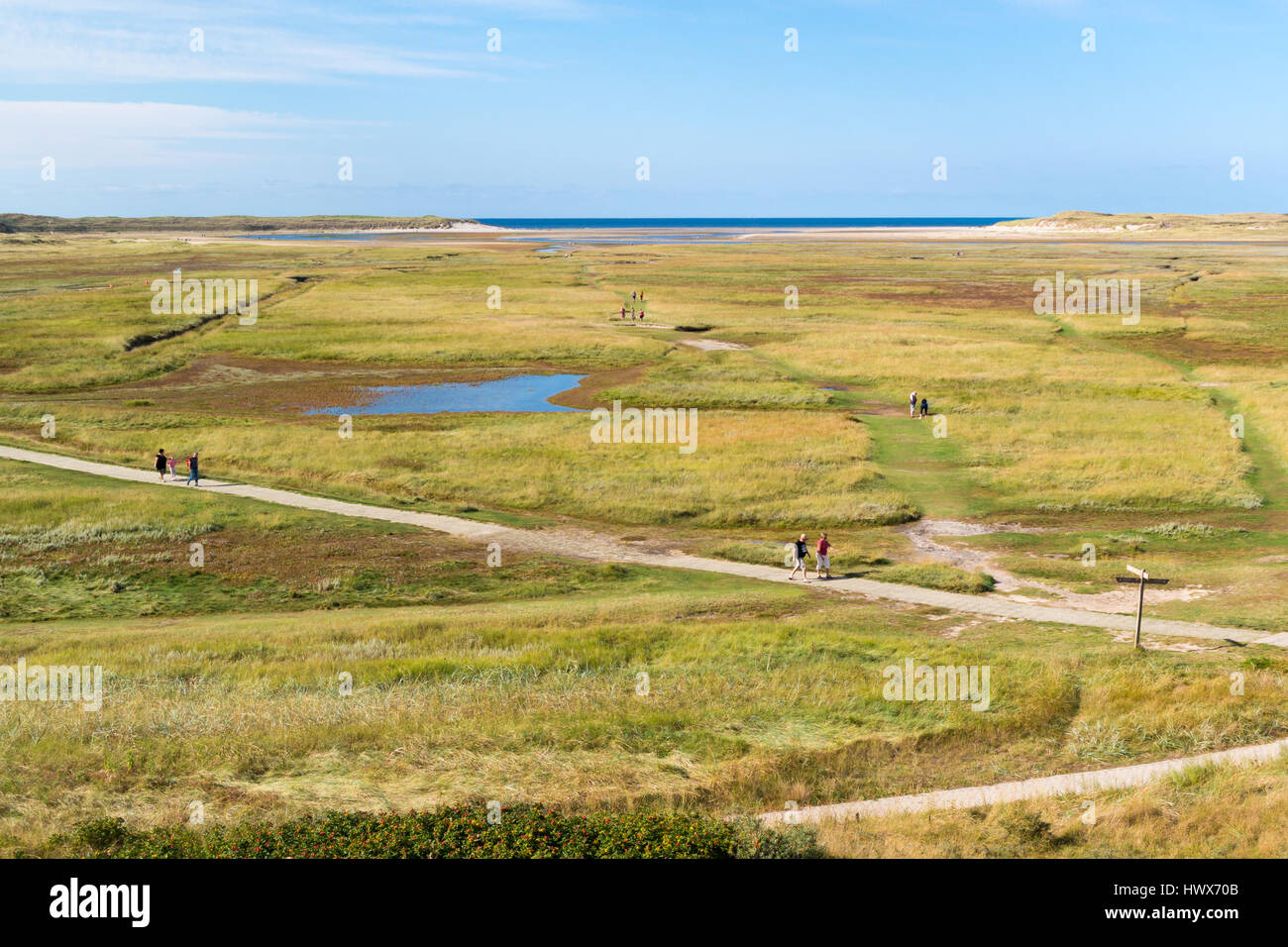 Les gens qui marchent dans la vallée des dunes de Slufter parc national à l'ouest de l'île de Wadden frisonnes Texel, Hollande du Nord, Pays-Bas Banque D'Images