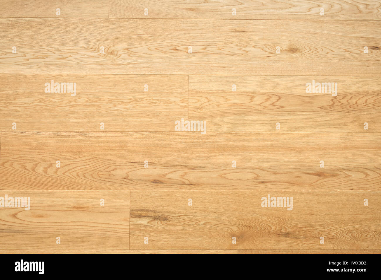 Parquet, plancher en bois de chêne closeup Banque D'Images