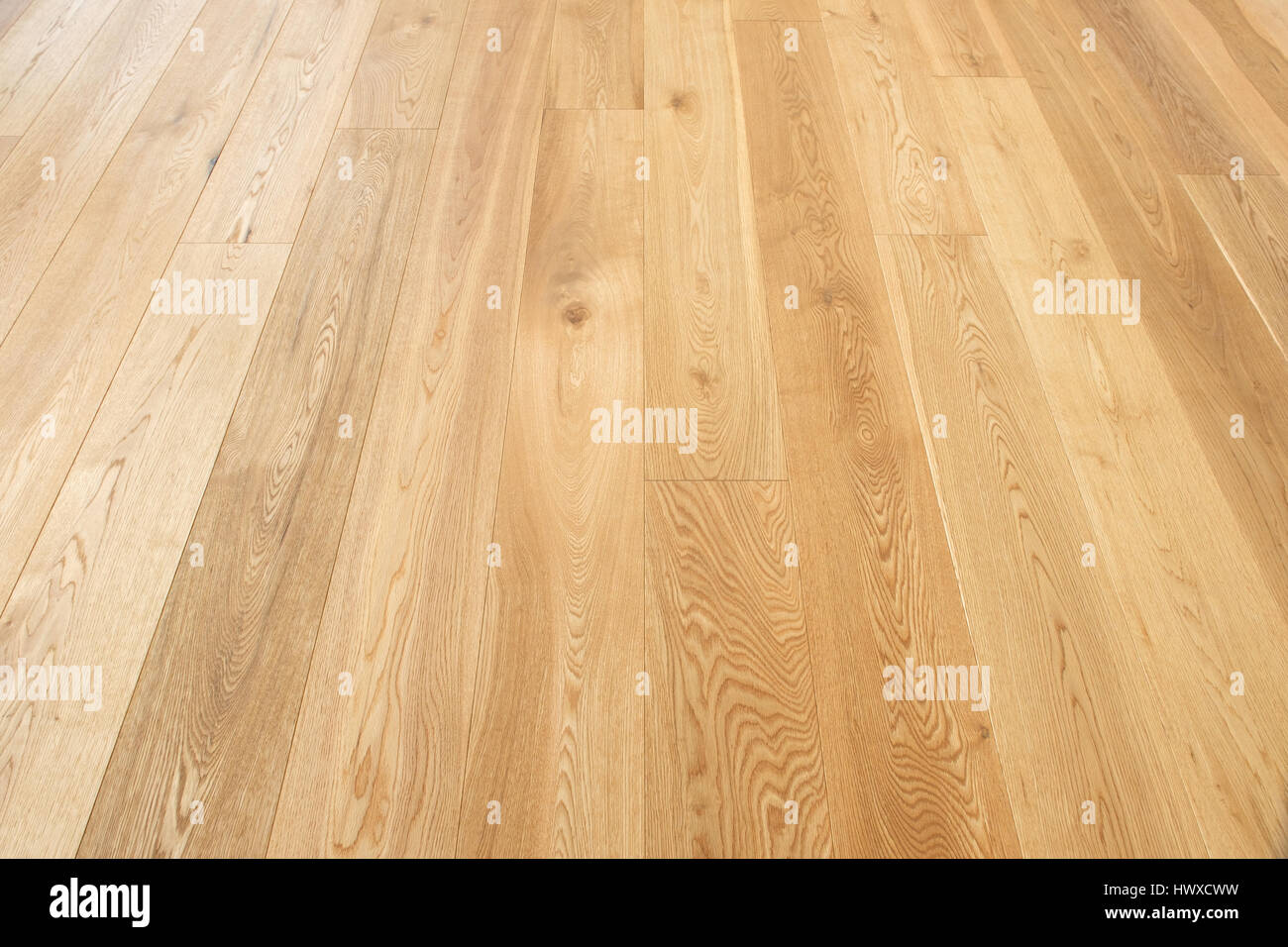 Parquet, plancher en bois de chêne closeup Banque D'Images