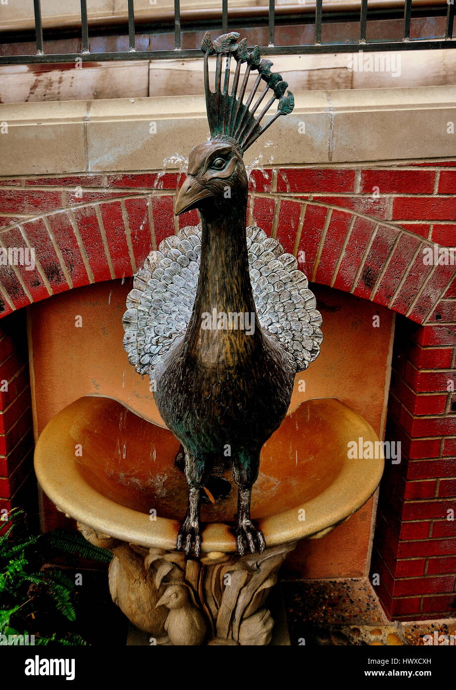 Kennett Square, New York - 3 juin 2015 : Peacock fontaine dans le jardin d'enfants à Longwood Gardens Banque D'Images