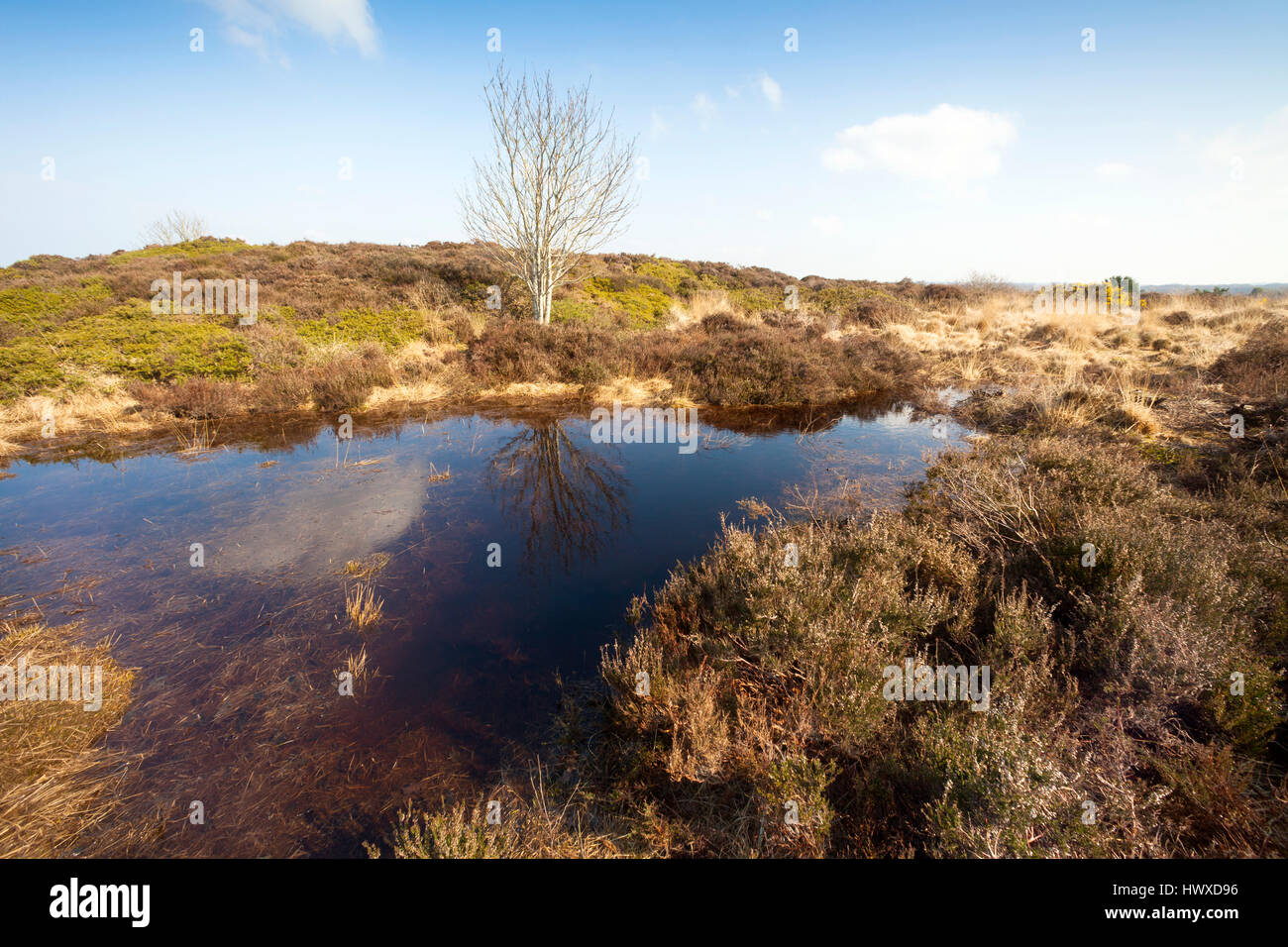 Thurstaston hill, Wirral, SE, UK Banque D'Images