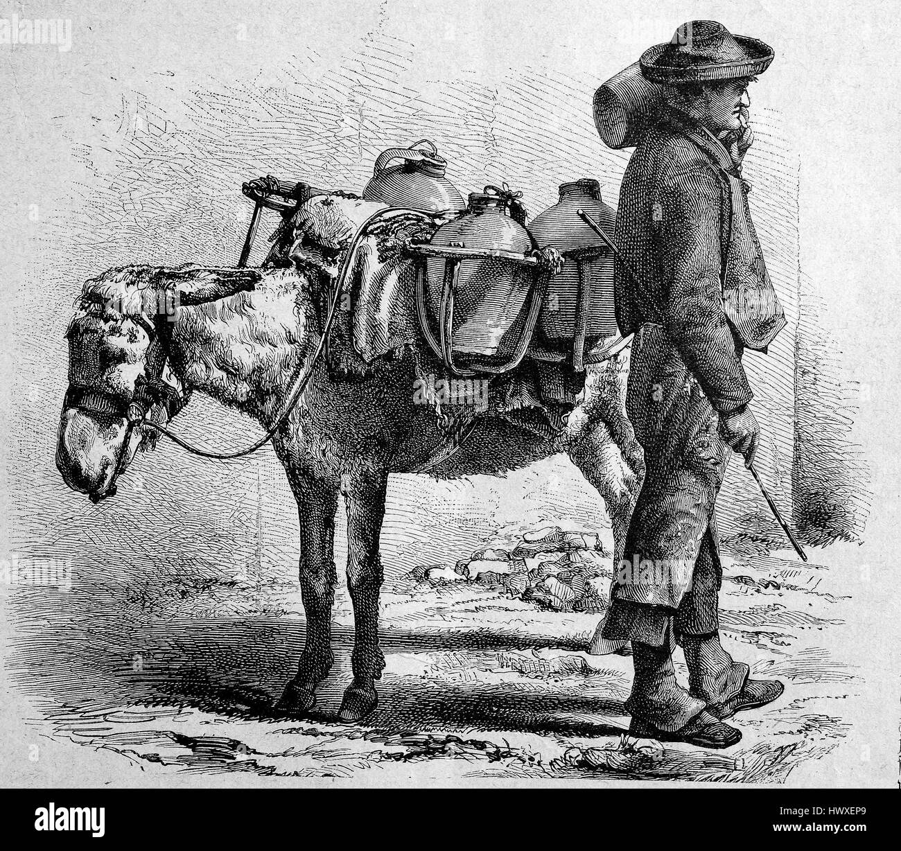 Homme avec un âne, vendeur d'eau à Cordoba, Espagne, reproduction d'une image, gravure sur bois de l'année 1881, l'amélioration numérique Banque D'Images