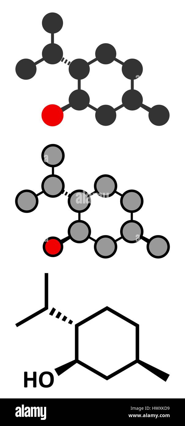 Molécule de menthol. Présente dans le maïs, menthe poivrée Menthe, etc. les rendus 2D stylisée et conventionnelle formule topologique. Illustration de Vecteur