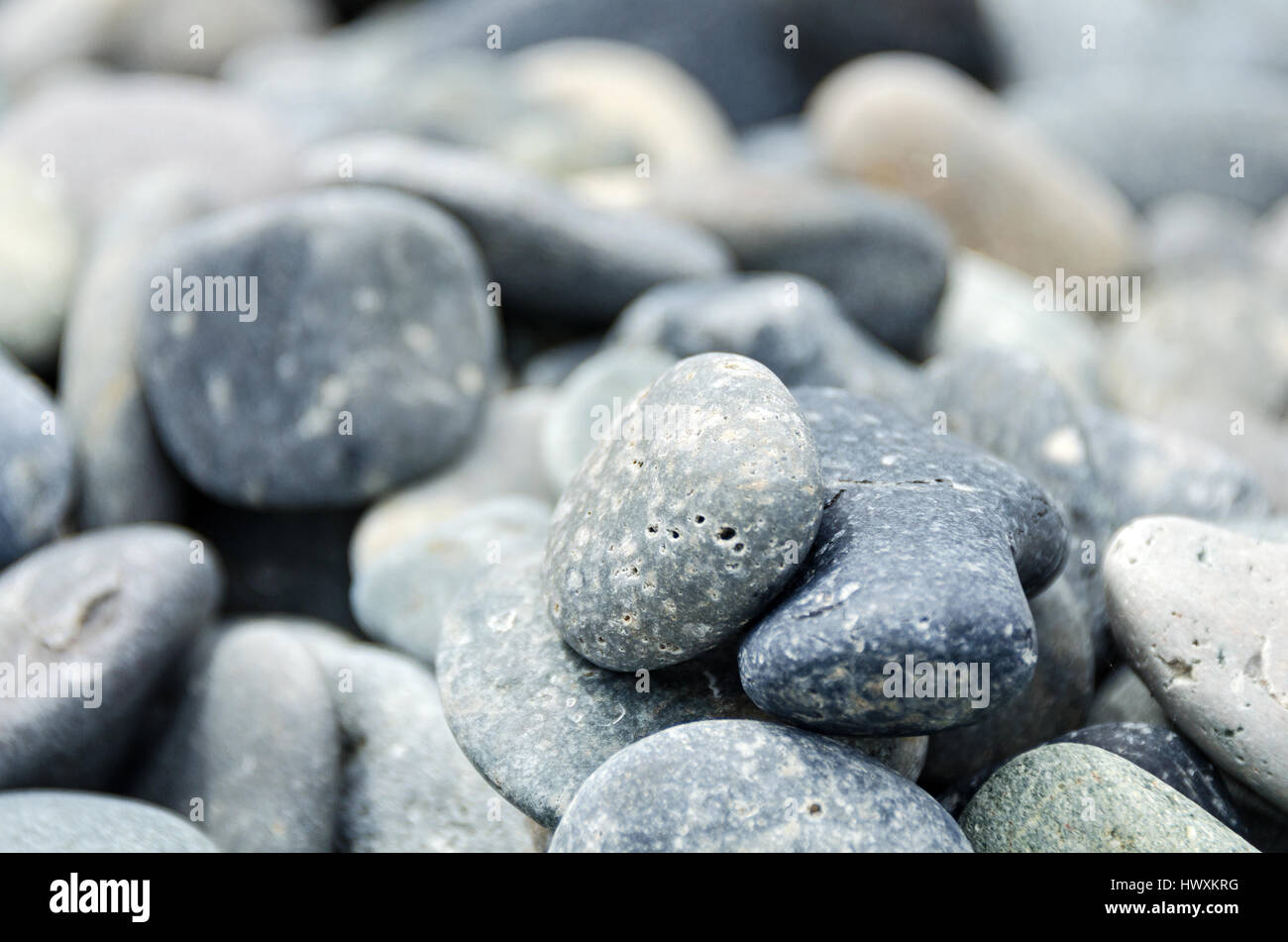 Extreme close-up de pierres sur la plage de l'île Little Cranberry, dans le Maine. Banque D'Images