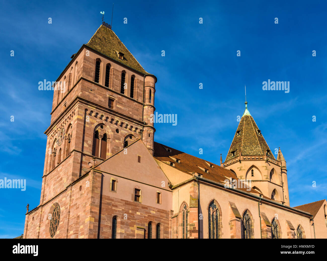 L'église Saint Thomas à Strasbourg - Alsace, France Banque D'Images