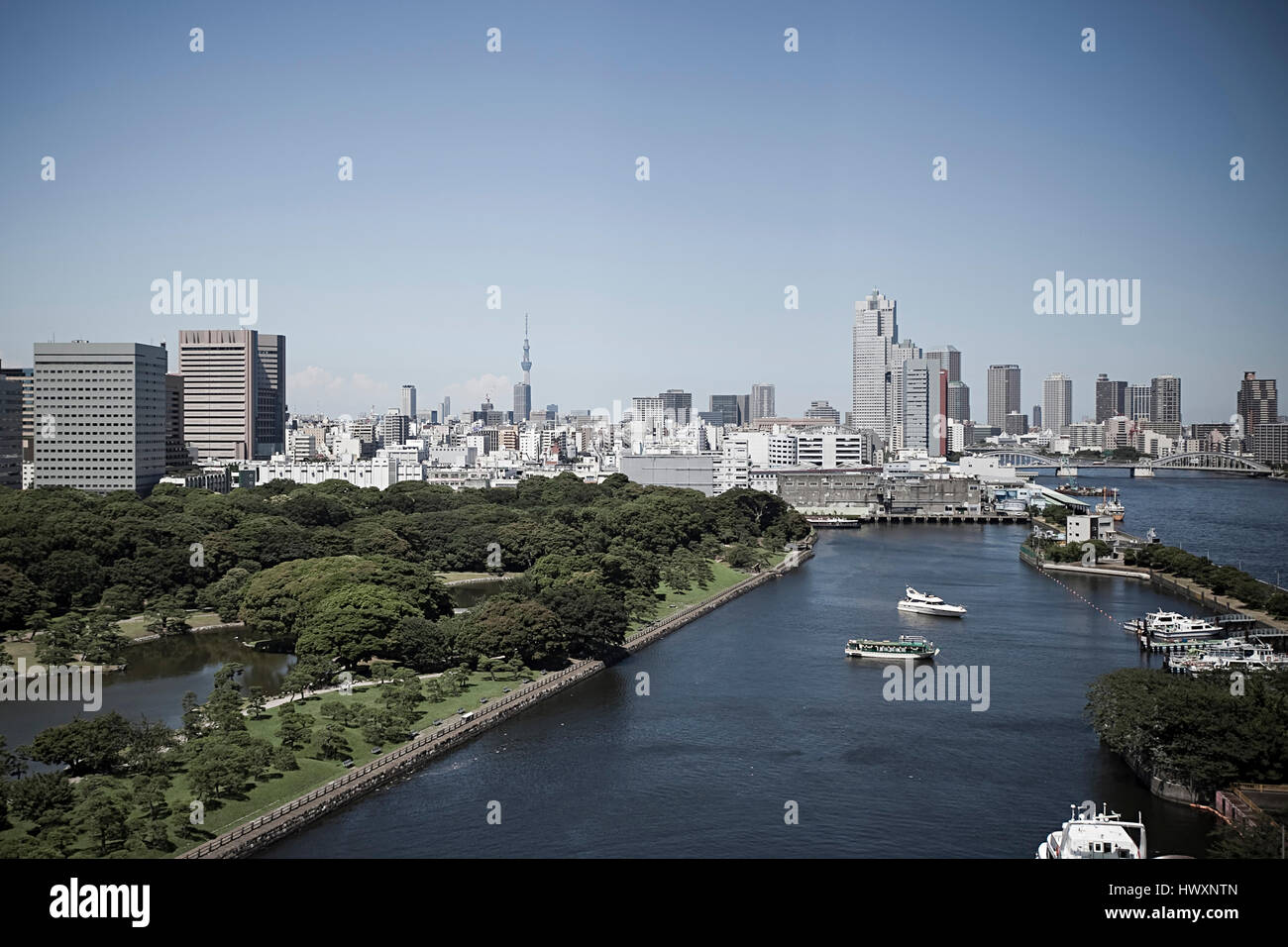 L'horizon de Tokyo, Japon. Banque D'Images