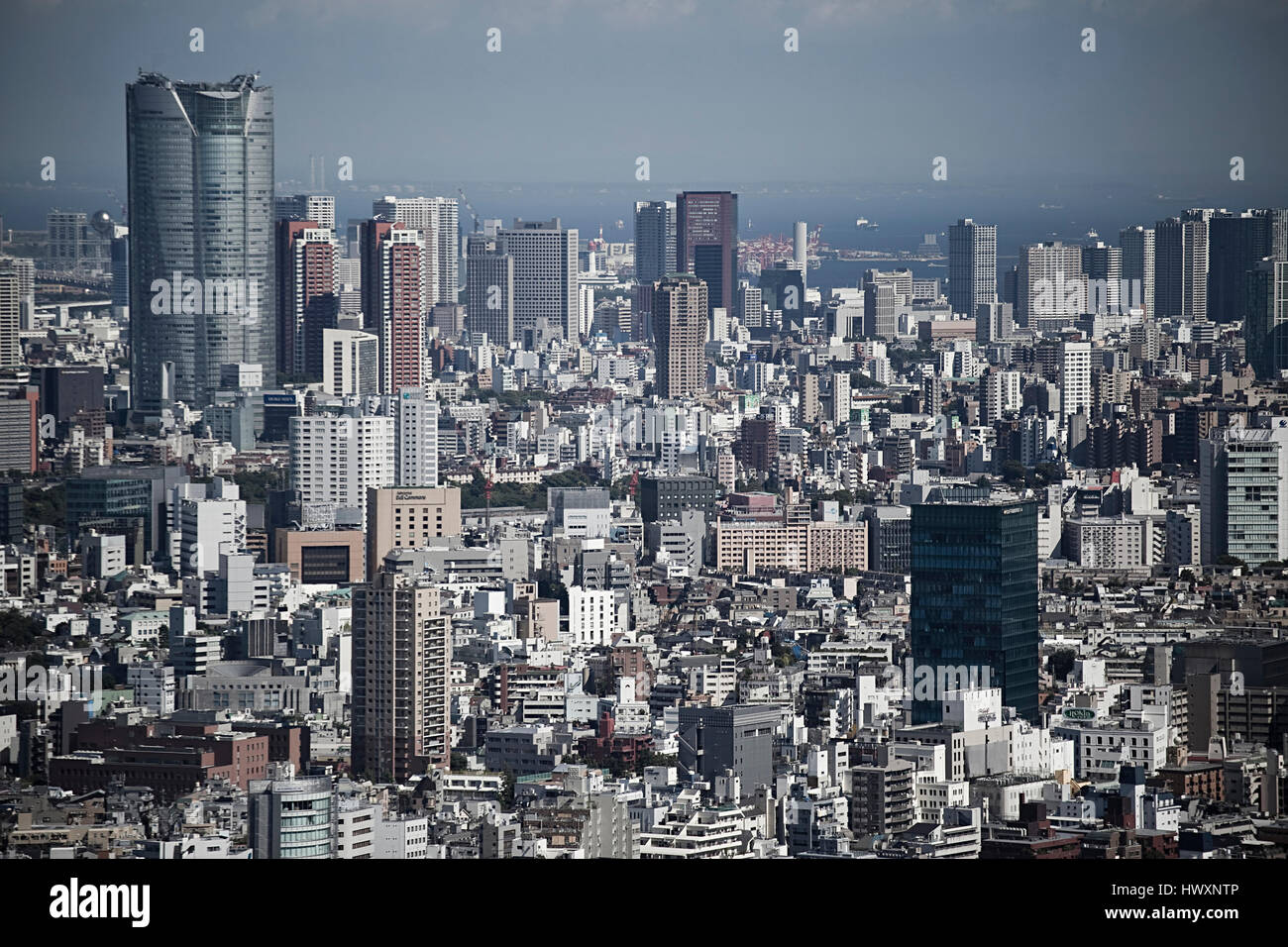 L'horizon de Tokyo, Japon. Banque D'Images