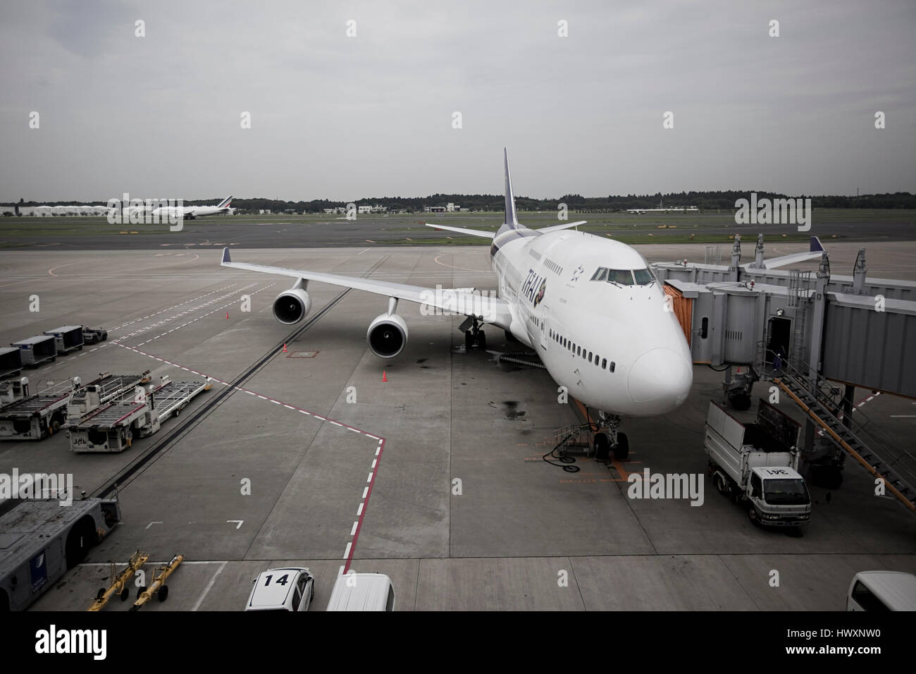 Thai Airways à l'aéroport d'airbus au Japon. Banque D'Images