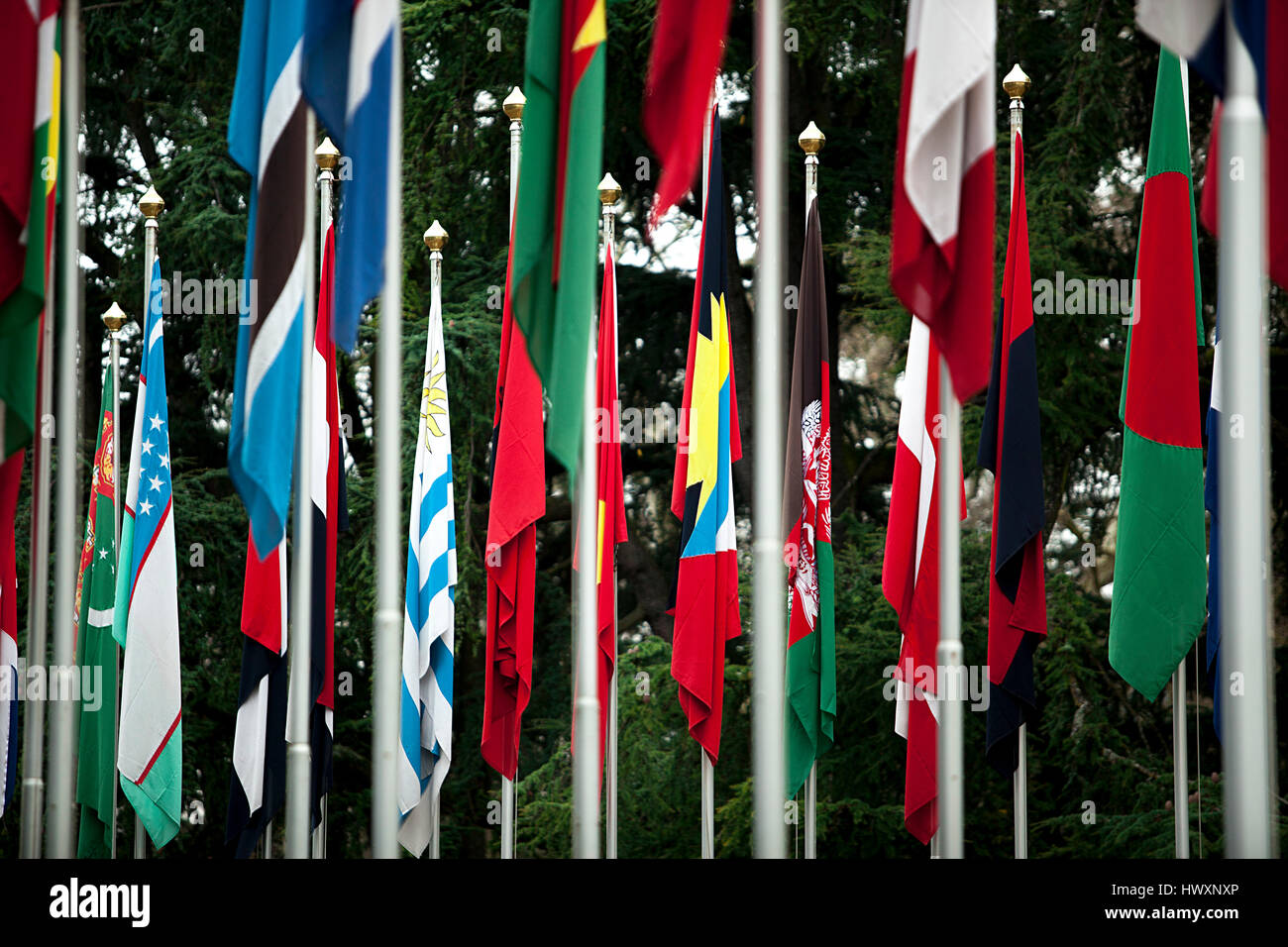 Le siège de l'ONU Organisation des Nations Unies à Genève, est également connu comme le Palais des Nations Unies et est situé à l'Ariana Park. En face de la construire Banque D'Images