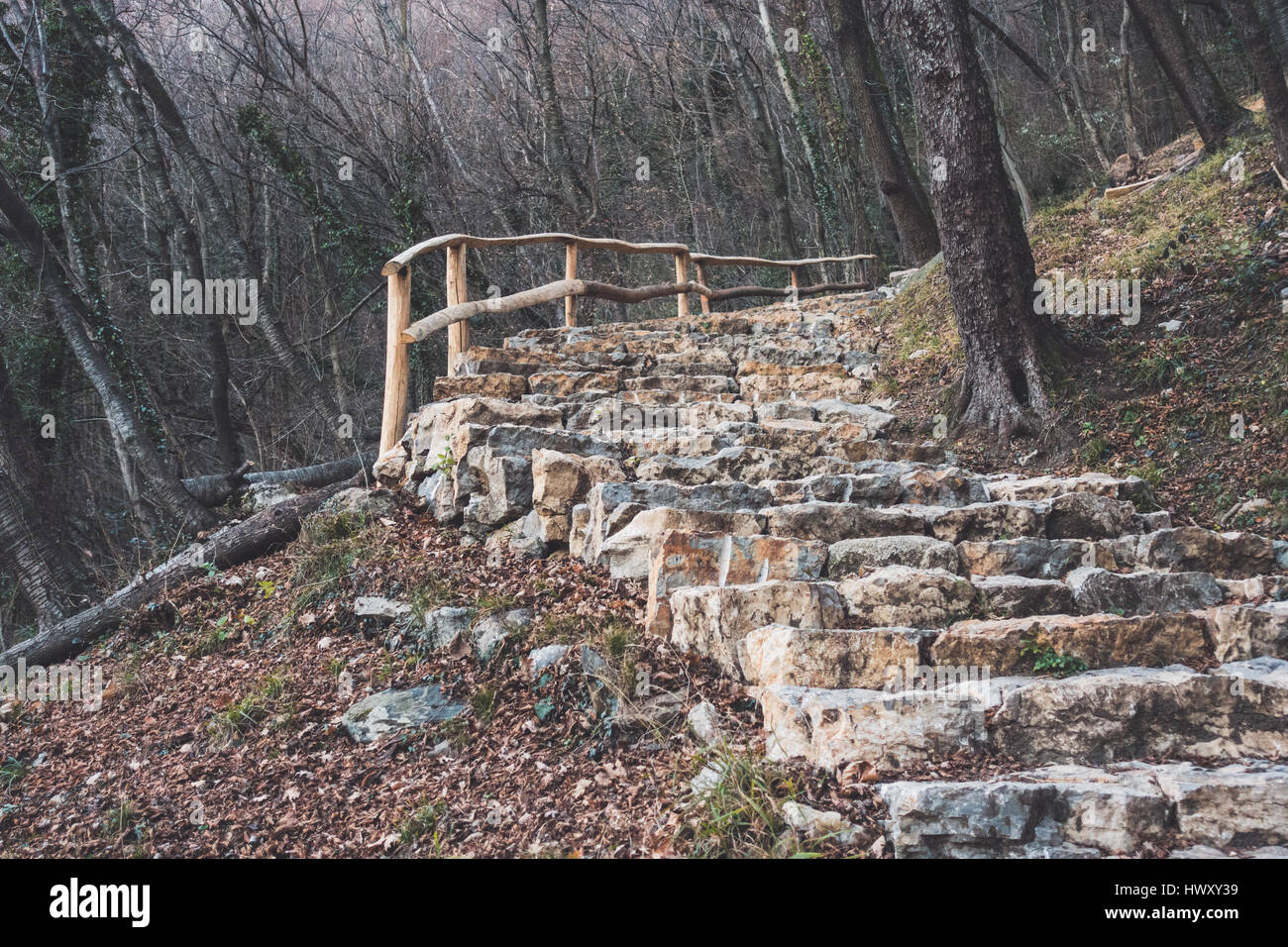 Escalier en pierre dans la forêt Banque D'Images
