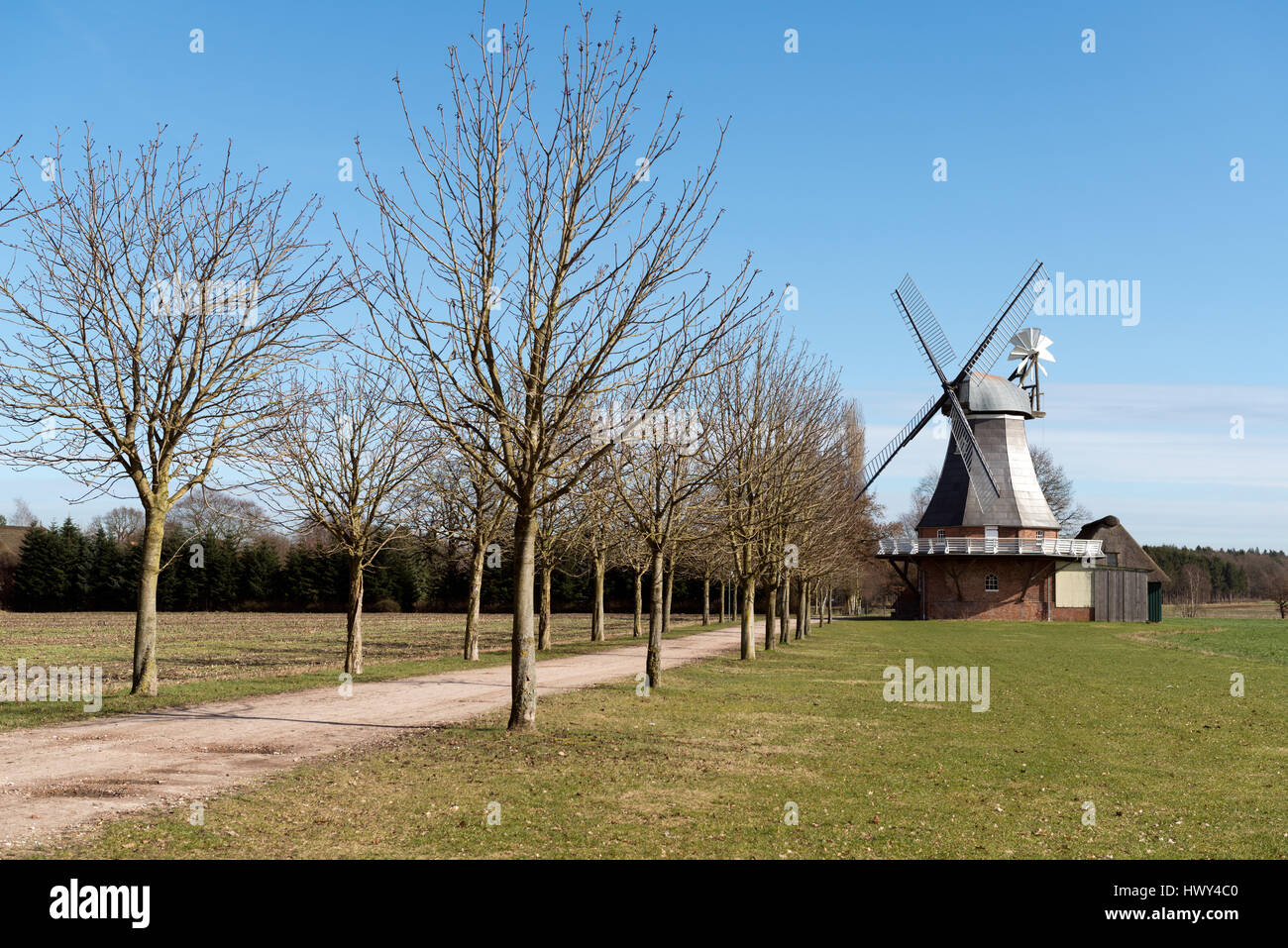 Moulin historique sur le champ vert en milieu rural d'une partie de l'Allemagne Banque D'Images Moulin historique sur le champ vert en milieu rural d'une partie de l'Allemagne Banque D'Images