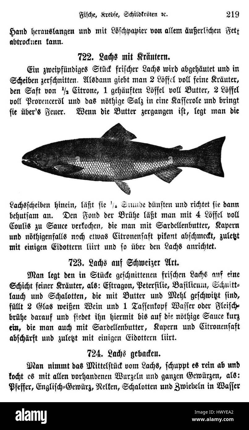 Auszug Ritter Kochbuch désigne un manuscrit historique ou une collection de recettes, potentiellement axé sur la cuisine médiévale ou Renaissance. Le titre suggère un lien avec les chevaliers et leurs pratiques culinaires, documentant peut-être la culture culinaire de la noblesse au moyen âge ou au début de la Renaissance en Europe. Banque D'Images