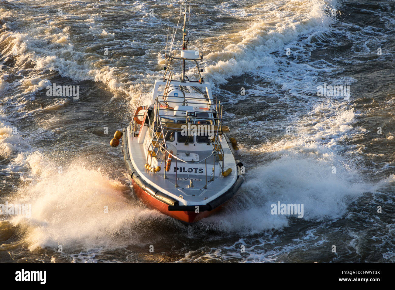 Bateau pilote, vient d'expédier à collecter pilote, Montevideo, Uruguay Banque D'Images